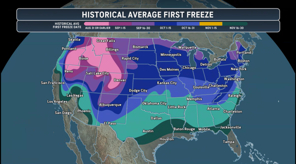 FirstFreeze