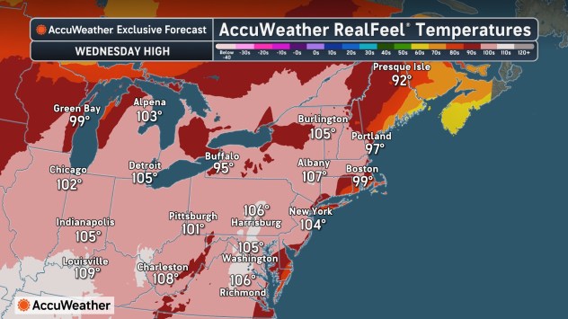 NEWRF